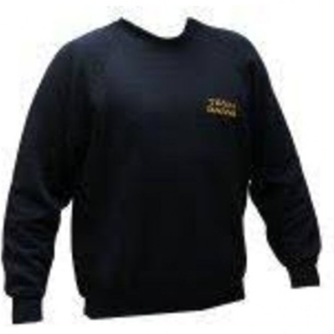 Толстовка чёрная DAIWA Team Daiwa Sweatshirt Black размер - L / SSBLK-L 2000074482915